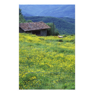 Europa, Italien, Toskana, Siena, Chianti. Fotodruck