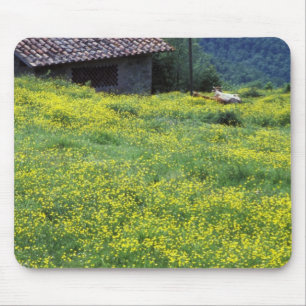 Europa, Italien, Toskana, Siena, Chianti. Mousepad