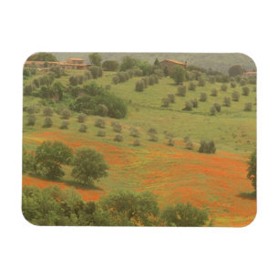 Europa, Italien, Toskana, Val D'Orcia, Monte Magnet