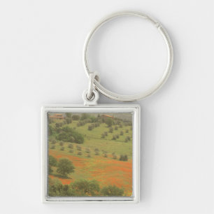 Europa, Italien, Toskana, Val D'Orcia, Monte Schlüsselanhänger