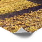 Europa, Italien, Toskana, Val d'Orcia, Pienza - Poster (Ecke)