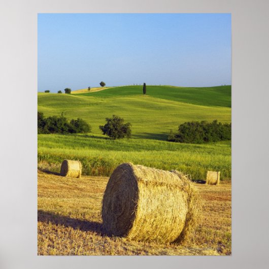 Europa, Italien, Toskana, Val d'Orcia, Pienza - Poster (Vorne)
