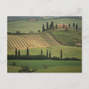 Europa, Italien, Toskana, Val d'Orcia, Toskanisch Postkarte