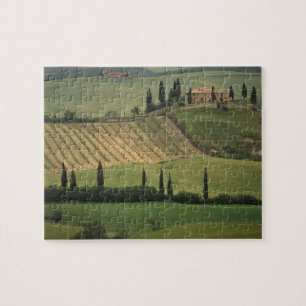 Europa, Italien, Toskana, Val d'Orcia, Toskanisch Puzzle