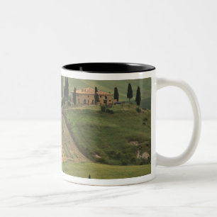 Europa, Italien, Toskana, Val d'Orcia, Toskanisch Zweifarbige Tasse