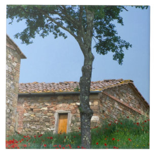 Europa, Italien, Toskana, verlassenes Landhaus in Fliese
