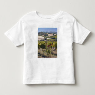 Europa, Italien, Umbrien, bei Montefalco, Weinberg Kleinkind T-shirt