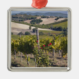 Europa, Italien, Umbrien, bei Montefalco, Weinberg Ornament Aus Metall