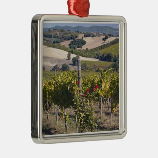 Europa, Italien, Umbrien, in der Nähe von Montefal Ornament Aus Metall (Rechts)