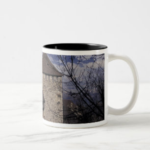 Europa, Liechtenstein, Vaduz. Schloss Vaduz Zweifarbige Tasse