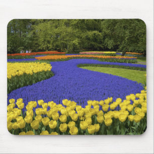 Europa, Niederlande, Holland, Lisse, Keukenhof Mousepad