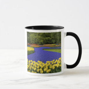Europa, Niederlande, Holland, Lisse, Keukenhof Tasse