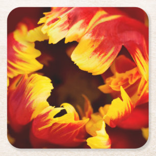 Europa, Niederlande, Lisse. Papagei Rechteckiger Pappuntersetzer