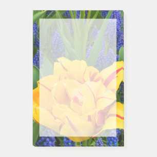 Europa, Niederlande, Lisse. Tulpen Post-it Klebezettel