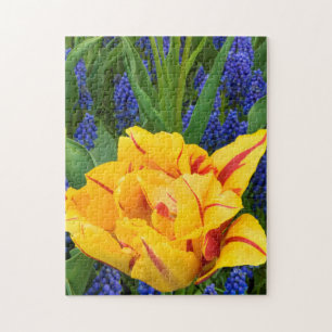 Europa, Niederlande, Lisse. Tulpen Puzzle
