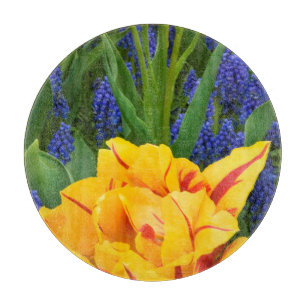 Europa, Niederlande, Lisse.Tulpen Schneidebrett
