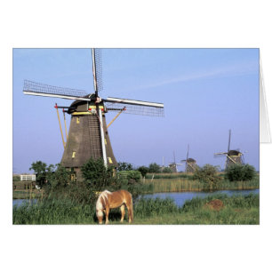 Europa, Niederlande, Zuid Holland, Kinderdijk. 2