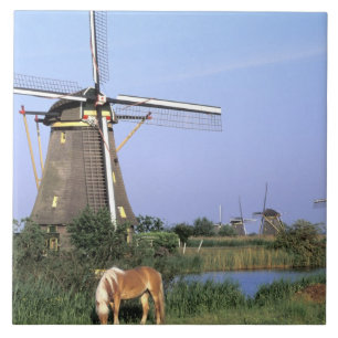 Europa, Niederlande, Zuid Holland, Kinderdijk. 2 Fliese