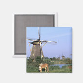 Europa, Niederlande, Zuid Holland, Kinderdijk. 2 Magnet (Vorderseite/Rückseite)