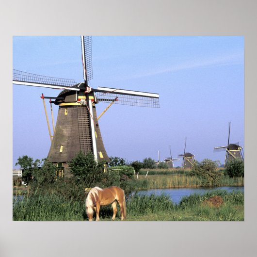 Europa, Niederlande, Zuid Holland, Kinderdijk. 2 Poster (Vorne)