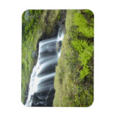 Europa, Norwegen. Wasserfall. Magnet (Vertikal)