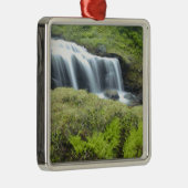 Europa, Norwegen. Wasserfall. Silbernes Ornament (Rechts)