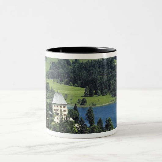 Europa, Österreich, Fuschl. Schloss Fuschl Zweifarbige Tasse (Mittel)