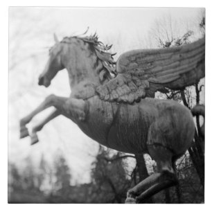 Europa, Österreich, Salzburg. Flügelpferd-Statue, Fliese