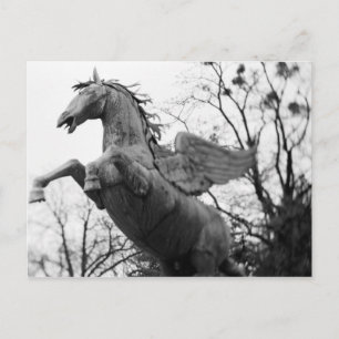 Europa, Österreich, Salzburg. Flügelpferd-Statue, Postkarte