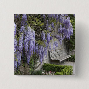 Europa, Österreich, Salzburg Stadt, Salzburg, Button