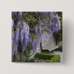 Europa, Österreich, Salzburg Stadt, Salzburg, Button