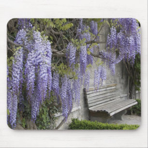 Europa, Österreich, Salzburg Stadt, Salzburg, Mousepad