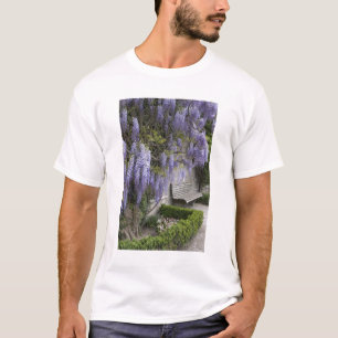 Europa, Österreich, Salzburg Stadt, Salzburg, T-Shirt