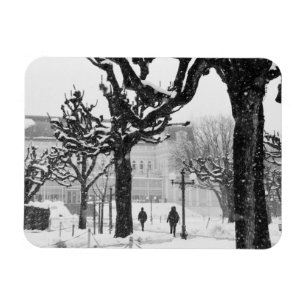 Europa, Österreich, Salzburg. Winter, Magnet