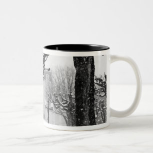 Europa, Österreich, Salzburg. Winter, Zweifarbige Tasse