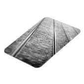 Europa, Schweiz, Bern. Straßenbahnlinien, 2 Magnet (Linke Seite)