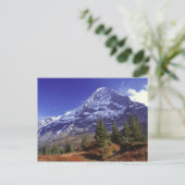 Europa, Schweiz, Eiger. Herbstfarben gibt es Postkarte (Stehend Vorderseite)