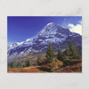 Europa, Schweiz, Eiger. Herbstfarben gibt es Postkarte