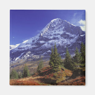 Europa, Schweiz, Eiger. Herbstfarben im Überfluss Magnet