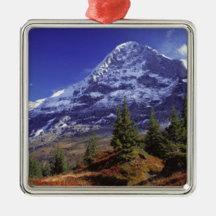 Europa, Schweiz, Eiger. Herbstfarben im Überfluss Silbernes Ornament