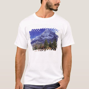 Europa, Schweiz, Eiger. Herbstfarben im Überfluss T-Shirt