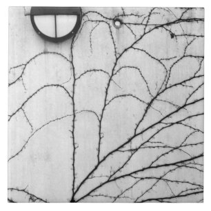 Europa, Schweiz, Luzern. Eigenes Muster Fliese