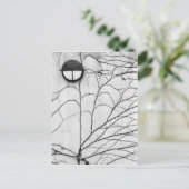 Europa, Schweiz, Luzern. Sichtmuster auf Postkarte (Stehend Vorderseite)