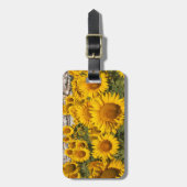 Europa, Spanien, Andalusien, Provinz Cadiz Gepäckanhänger (Vorderseite vertikal)