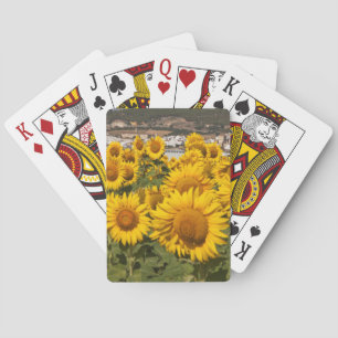 Europa, Spanien, Andalusien, Provinz Cádiz Spielkarten