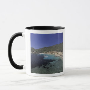 Europa, Spanien, Balearen, Ibiza, Cala Salada. Tasse