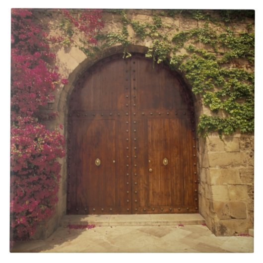 Europa, Spanien, Balearen, Mallorca, Palma de Palm Fliese (Vorderseite)