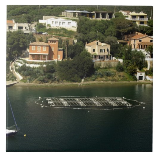 Europa, Spanien, Menorca (auch Menorca). Fisch Fliese (Vorderseite)