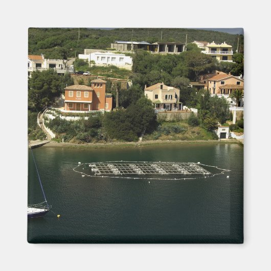 Europa, Spanien, Menorca (auch Menorca). Fisch Magnet (Vorne)