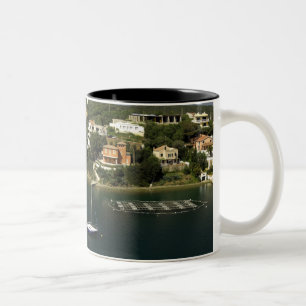 Europa, Spanien, Menorca. Fisch Zweifarbige Tasse